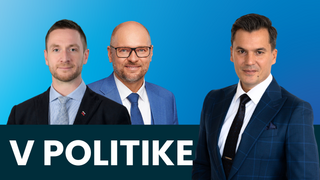 uhrík, sulík v politike