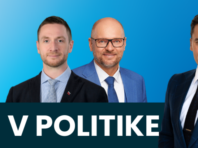 uhrík, sulík v politike