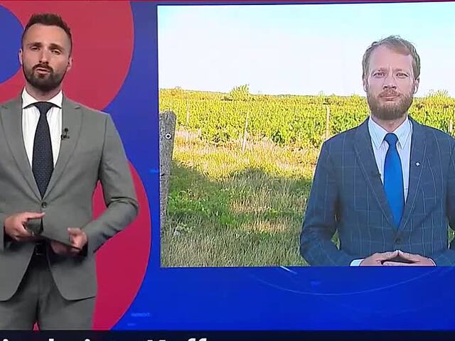 Bude Kuffa ministrom? Pellegrini váha s vymenovaním, SNS trvá na svojom nominantovi. Právnik vysvetlil aktuálnu situáciu 