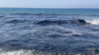 more Alanya