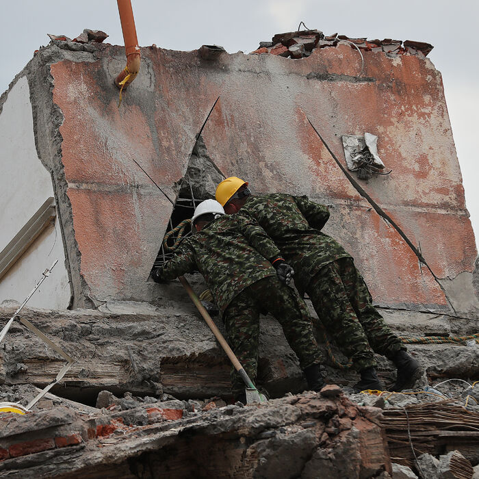 zemetrasenie