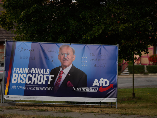 Nemecko čaká politický otras. Extrémisti z AfD mieria k moci, prezident varuje pred „pošliapanou“ demokraciou