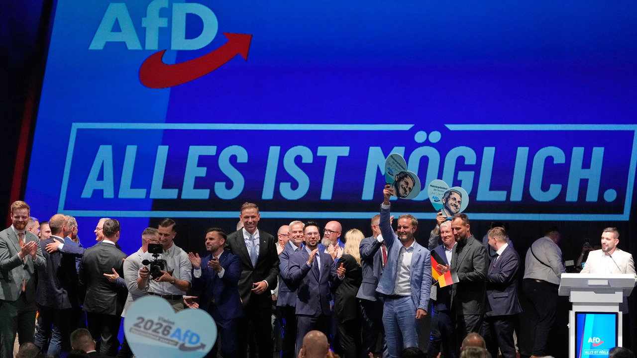 AfD voľby