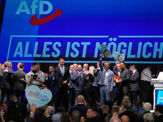 AfD voľby