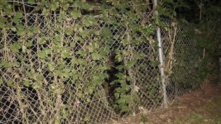 Nemecko vyšetruje sériu útokov na elektrické stanice. V Berlíne vypukol požiar a na západe našli prerezaný plot