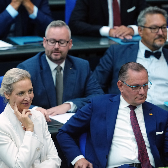 Alice Weidelová Tino Chrupalla