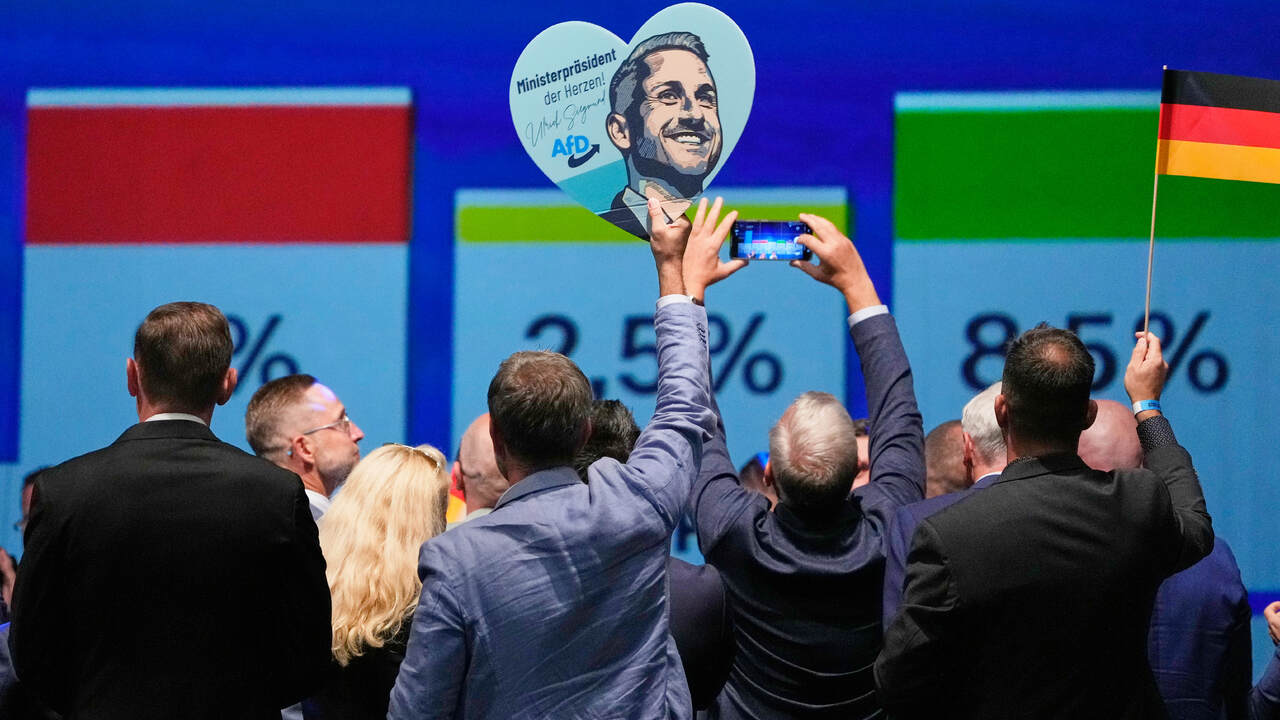 Nemecko voľby AfD
