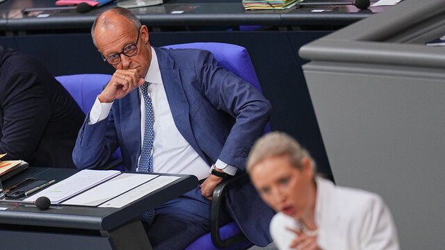 Friedrich Merz, Alice Weidel 