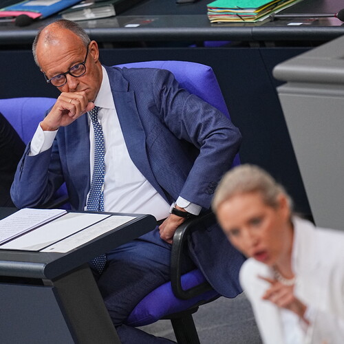 Friedrich Merz, Alice Weidel 