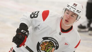 Slováci bojujú o NHL. Mišiak a Kráľovič skórovali, oboch čaká cesta na hlavný kemp
