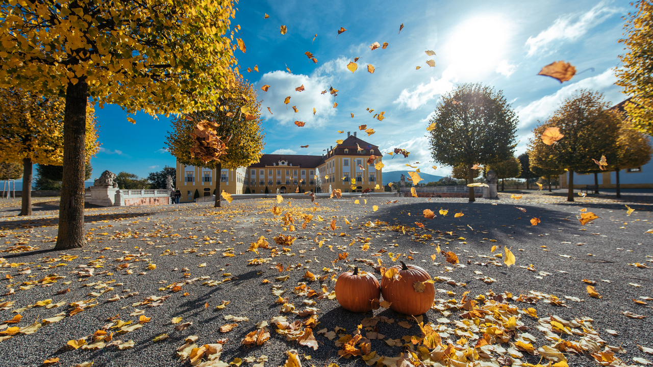 Schloss-Hof-Herbstfest-007-©-Schlos-Schonbrunn-Kultur-und-Betriebsges.m.b.H.-Michal-Cilc_print.jpg