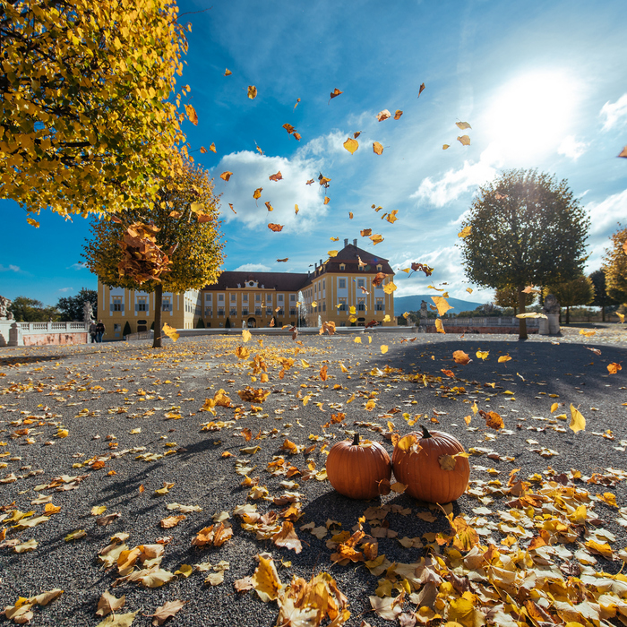 Schloss-Hof-Herbstfest-007-©-Schlos-Schonbrunn-Kultur-und-Betriebsges.m.b.H.-Michal-Cilc_print.jpg