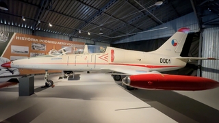 albatros