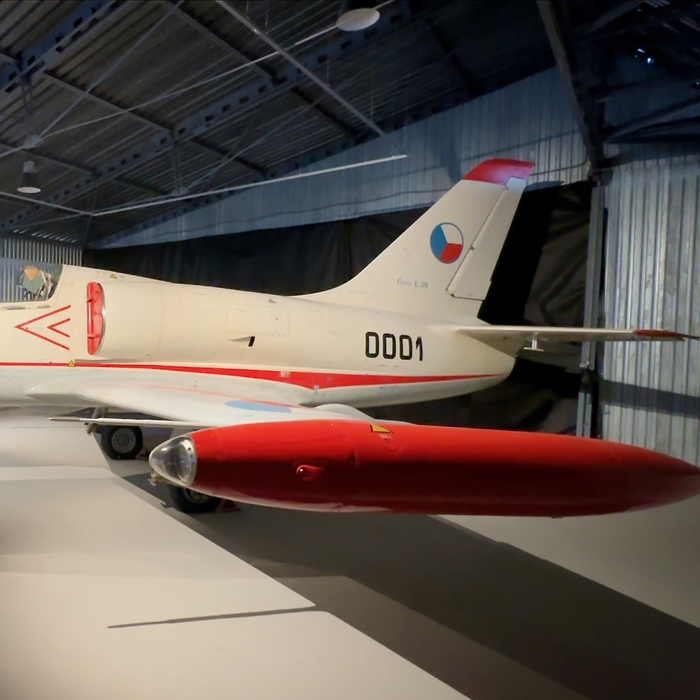 albatros