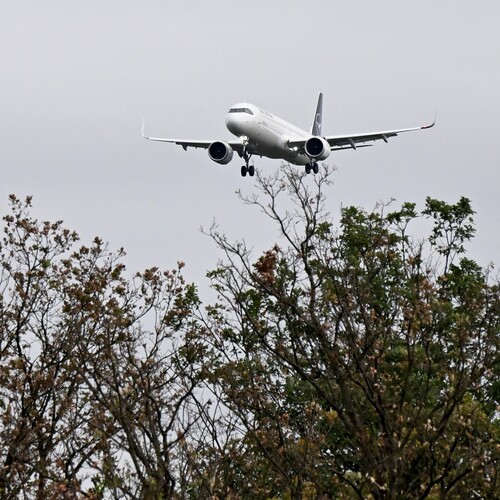A321neo.jpg