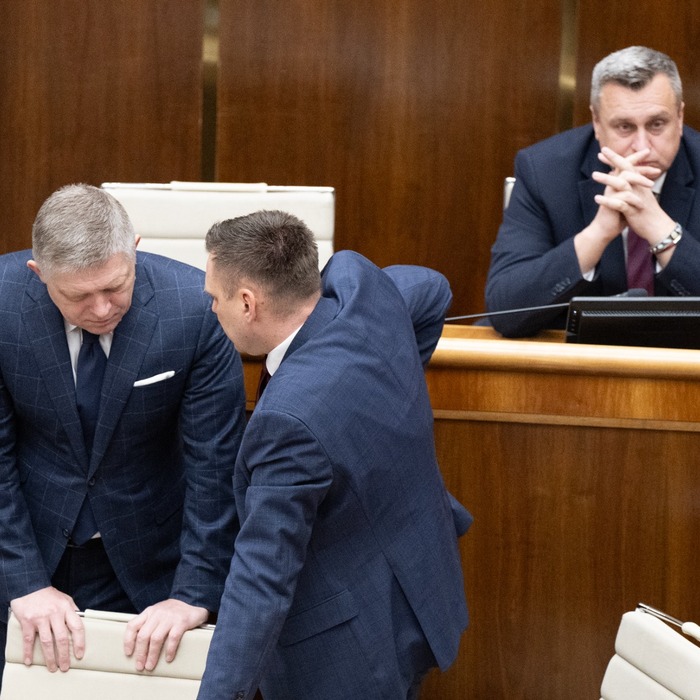Danko, taraba, fico