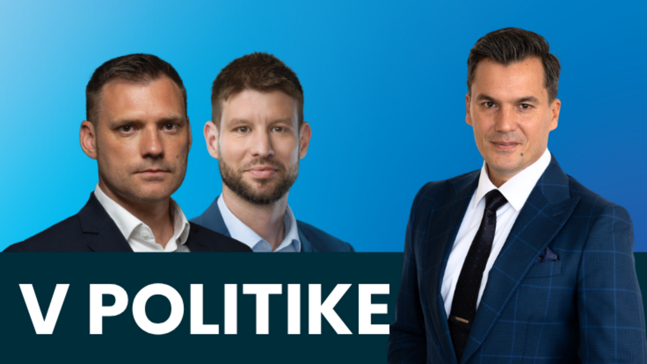 Šimečka Taraba V politike