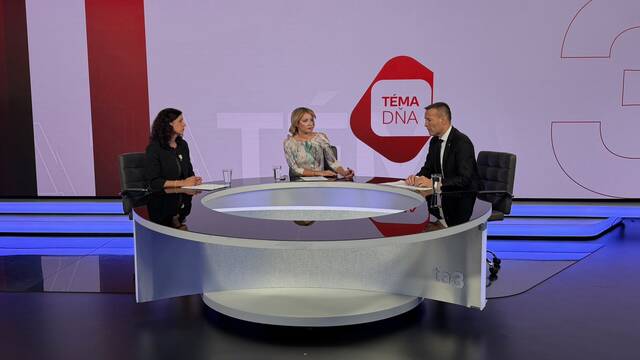 Drucker, Gažovičová, téma dna
