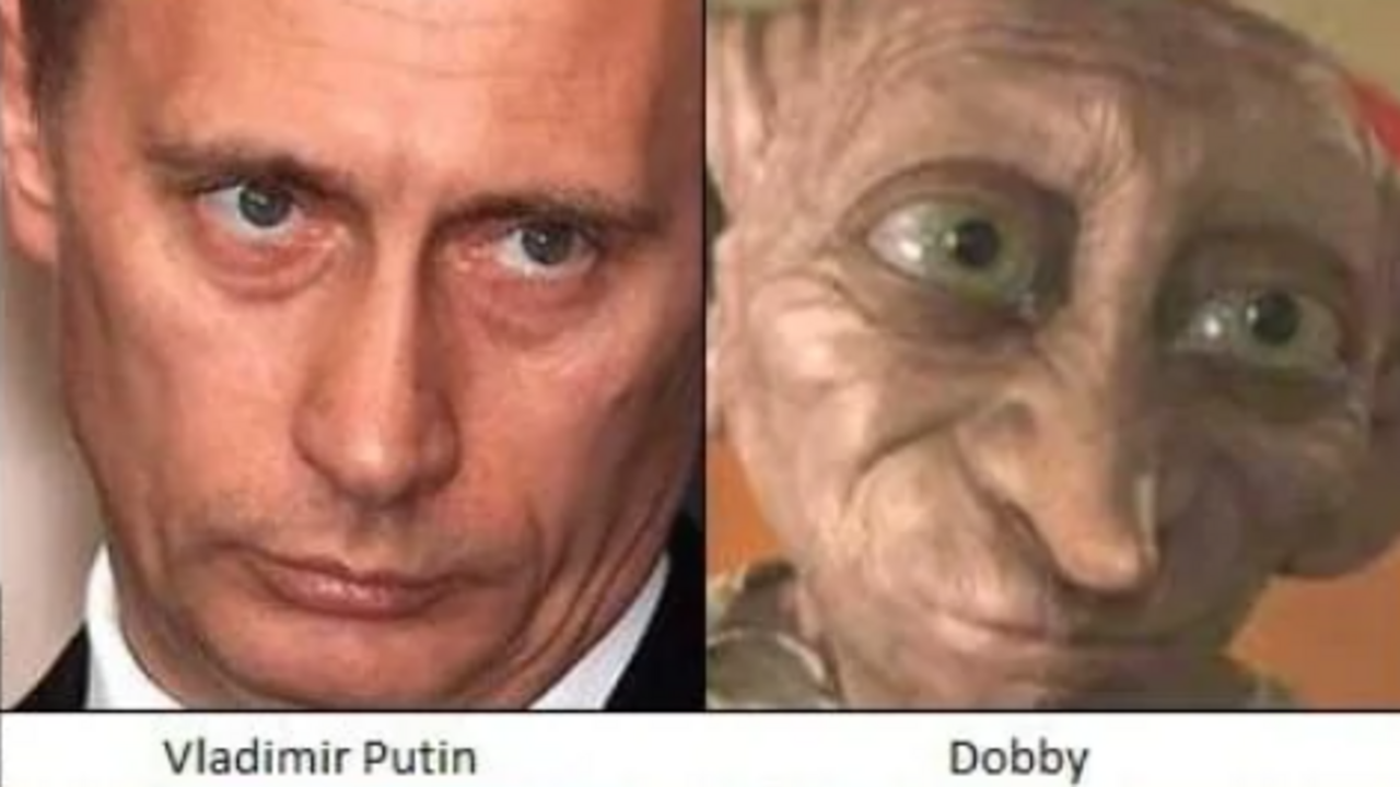 Dobby Putin 