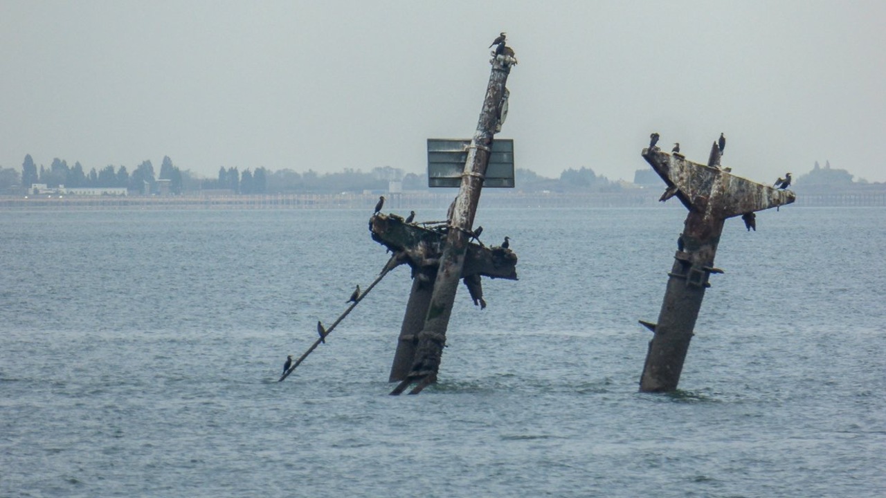 SS Richard Montgomery