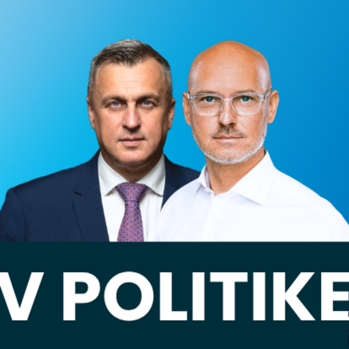 V politike Danko Gröhling