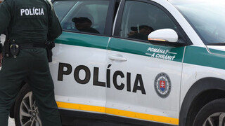 polícia policajt auto