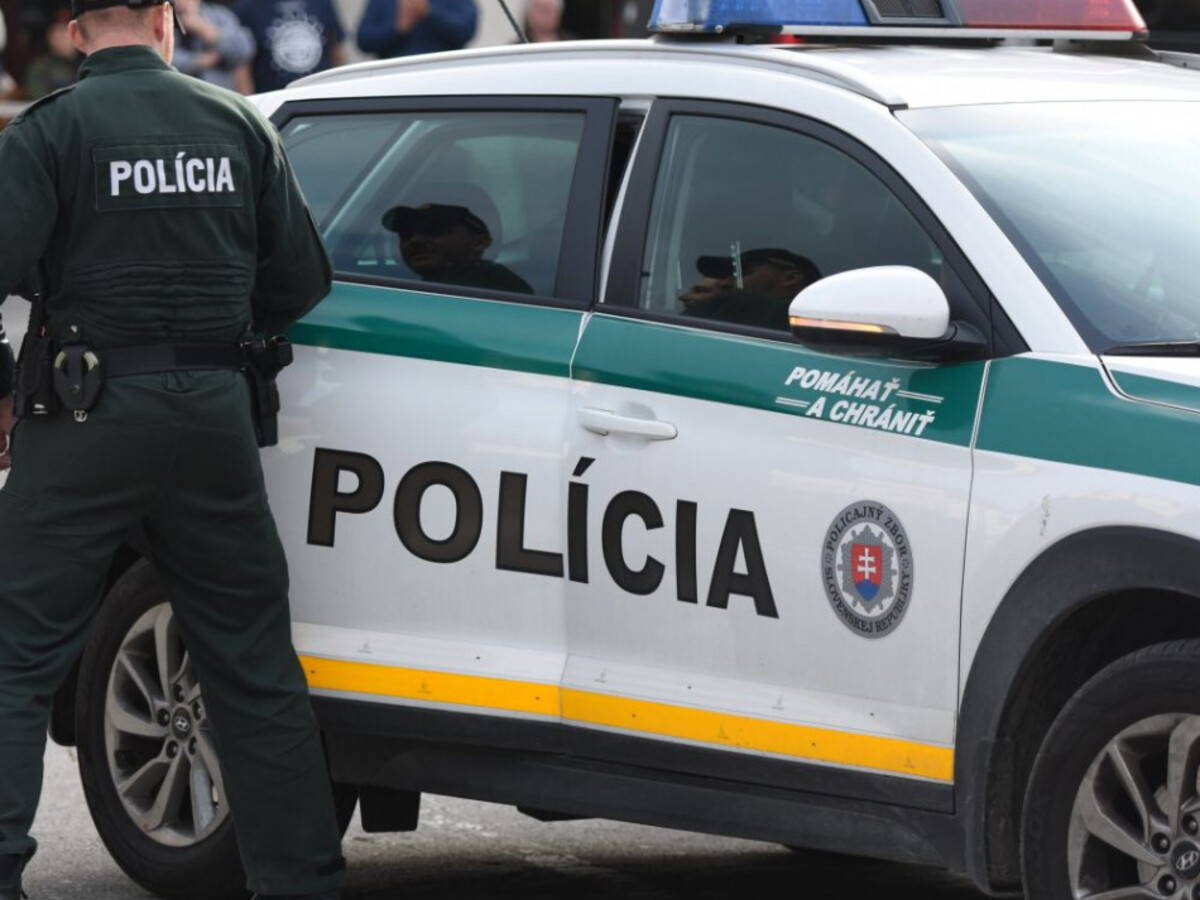 polícia policajt auto
