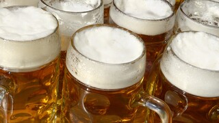 pivo