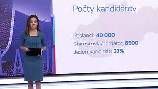 Kto chce viesť slovenské mestá a obce? Kandidátov delia roky aj profesie, voľby prinášajú zaujímavé čísla