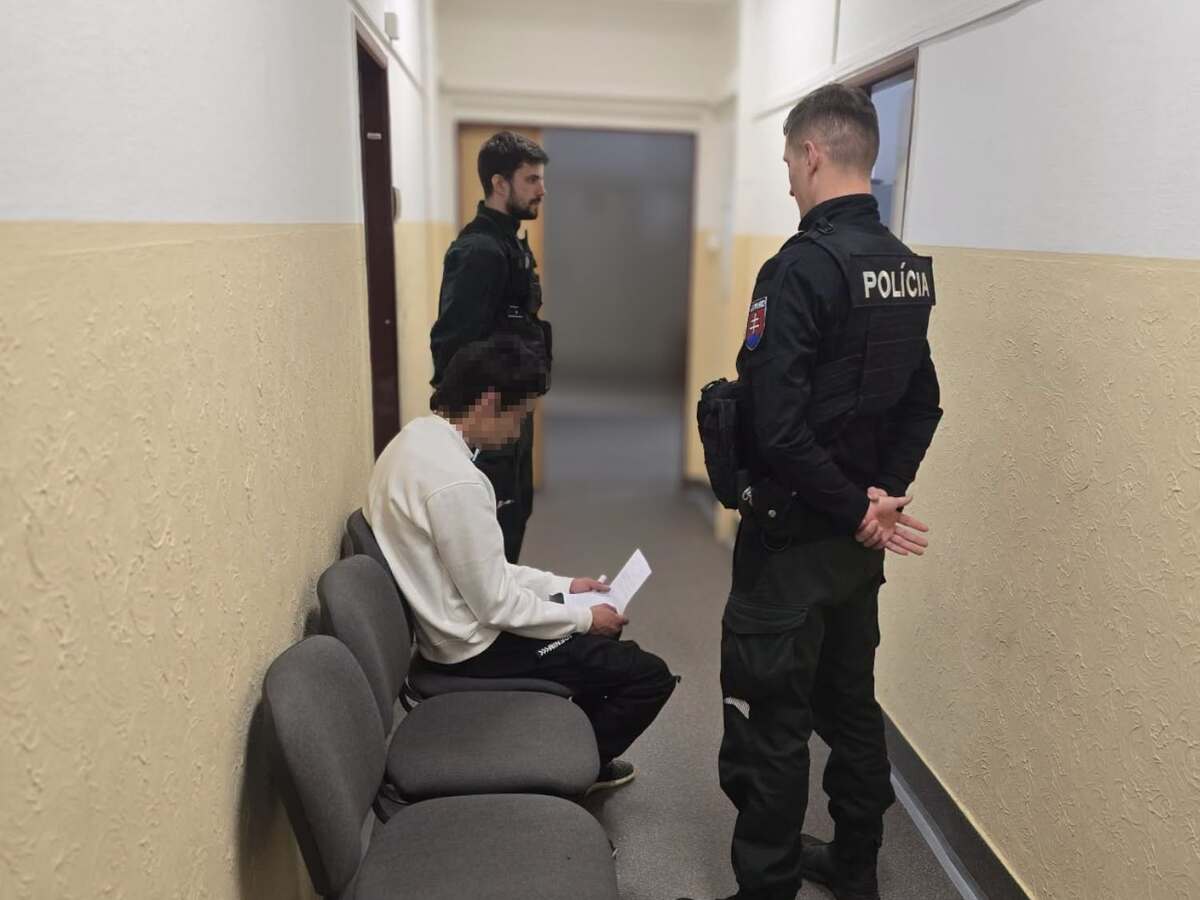 polícia policajt policajti zlodej