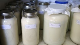 Potravinári našli pri kontrole mlieka vírus kliešťovej encefalitídy