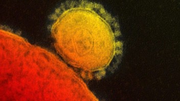 Obetí vírusu je výrazne viac, potvrdili ho už aj v Nemecku