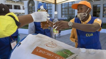 Na Madagaskare bojujú proti vírusu čajom, vraj lieči do 10 dní