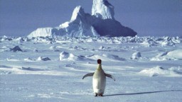 Od Antarktídy sa odlomil ľadovec, je väčší ako ostrov Malorka