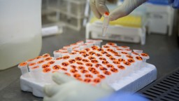 Čína odmieta tvrdenia o výskyte ochorenia v laboratóriu vo Wu-chane v roku 2019