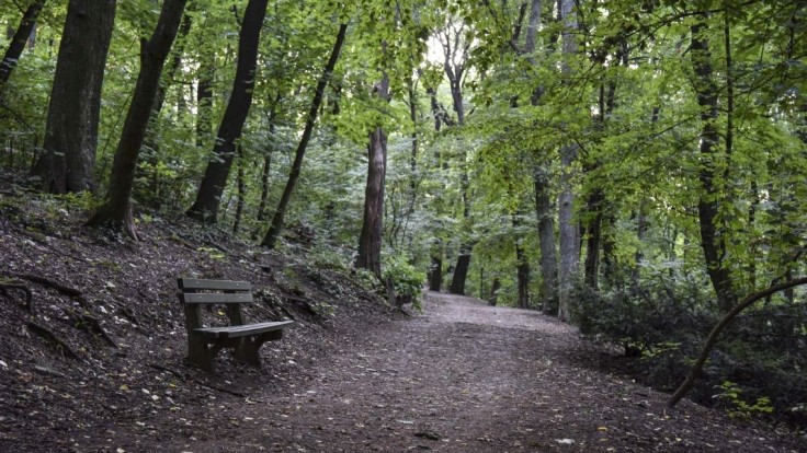 Mesto chce verejnosť odstrašiť od návštevy Horského parku, tvrdia aktivisti
