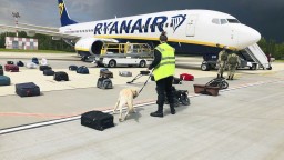 Pilot Ryanairu nemal na výber. Musel sa podriadiť bieloruským úradom, tvrdí spoločnosť