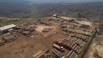 Ubudli ďalšie kilometre. Odlesňovanie Amazonského pralesa dosiahlo rekord