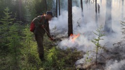Z požiarov v Rusku sa šíri toxický dym, úrady odporučili utesniť dvere a okná