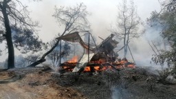 Turecko sužujú ničivé požiare, vyžiadali si osem obetí