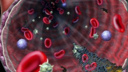Vedci objavili látky v krvi, podľa ktorých sa dá predvídať priebeh koronavírusu