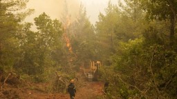 Situácia sa opäť komplikuje, na gréckom ostrove Eubója vypukol nový lesný požiar