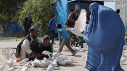 Cestovateľ Navrátil: Prečo Taliban postupuje tak rýchlo? Vláda rezignovala na základné veci