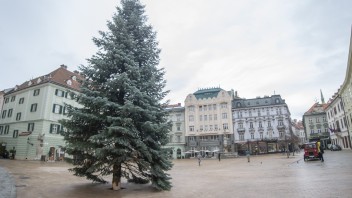 FOTO: Na Hlavnom námestí v Bratislave už stojí vianočný stromček, meria 15 metrov