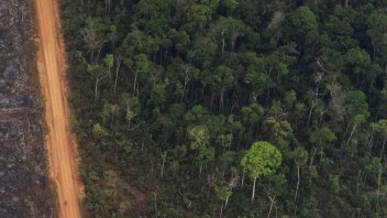 Amazonský prales sa výrazne zmenšuje. Podľa opozície za to nesie zodpovednosť brazílsky prezident