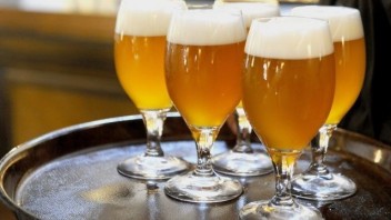 Výroba piva na vlastnú spotrebu bude oslobodená od dane, novelu schválili poslanci parlamentu