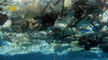 V plávajúcom ostrove z plastov našli domov. Morské živočíchy prekvapili aj výskumníkov