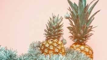Dokonalý ananás: Dokáže divy s postavou i pleťou, ale vybieli aj zuby a zničí bradavice