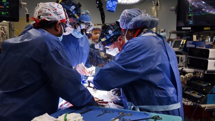 V USA vykonali prvú transplantáciu srdca z prasaťa do človeka