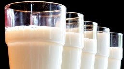 Produkcia mlieka naďalej klesá. Bez pomoci štátu je sebestačnosť Slovenska ohrozená